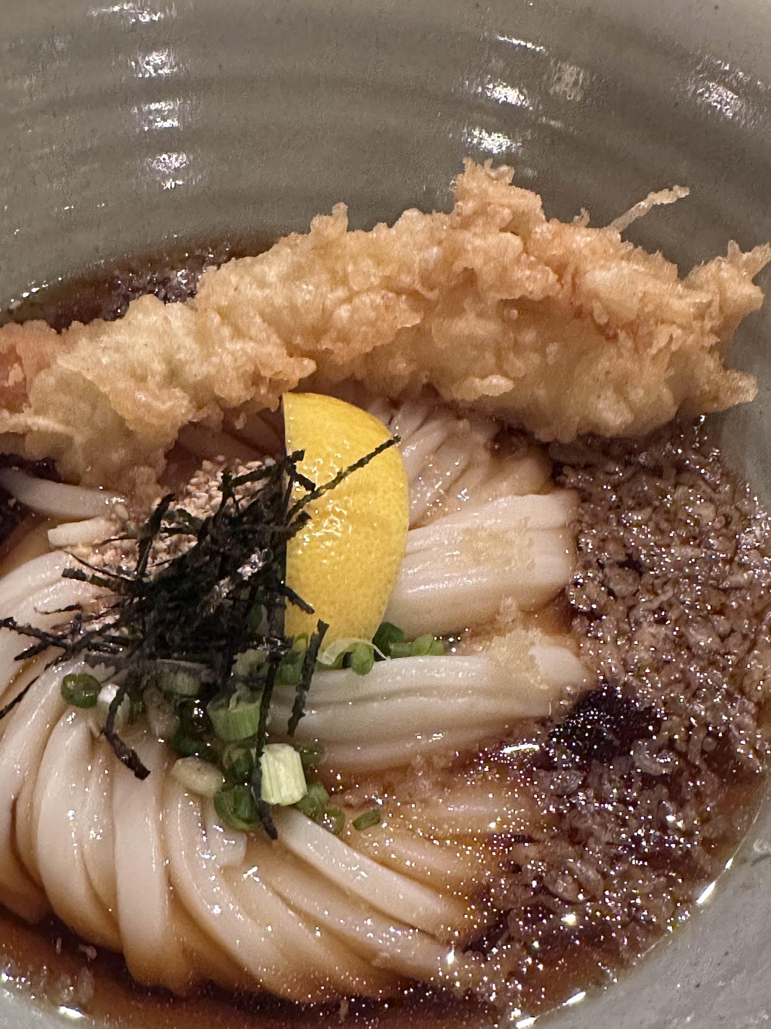 Completed Kake Udon