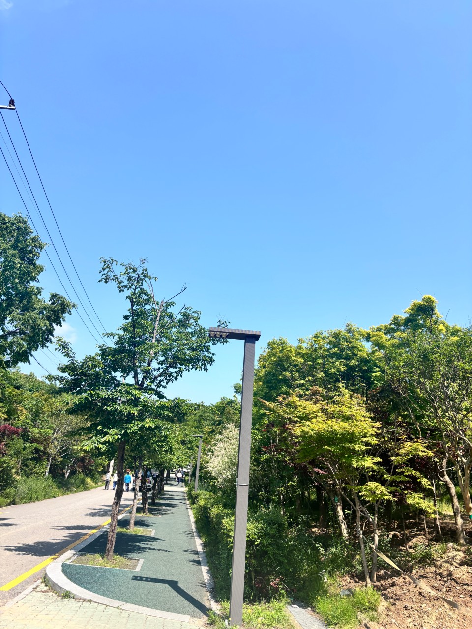 서울대공원 호수 전망