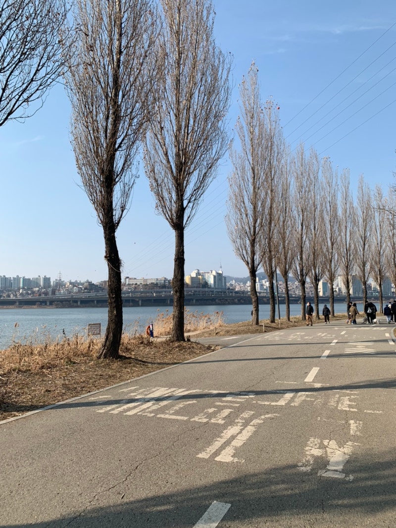 반포 주변 가로수길