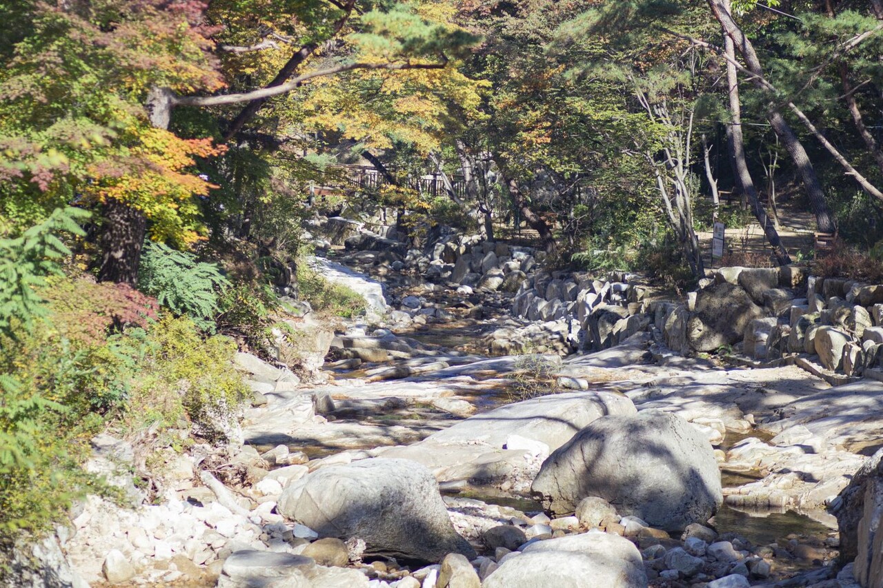 진관사계곡 물놀이 모습