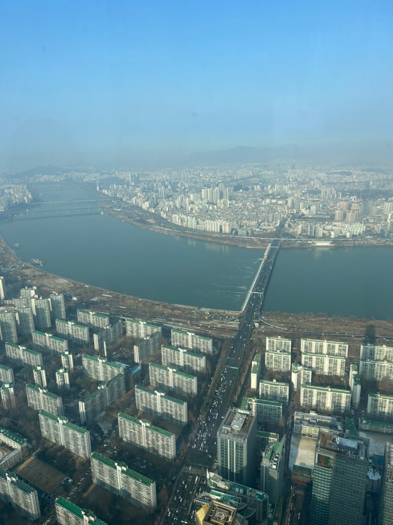 서울스카이观景