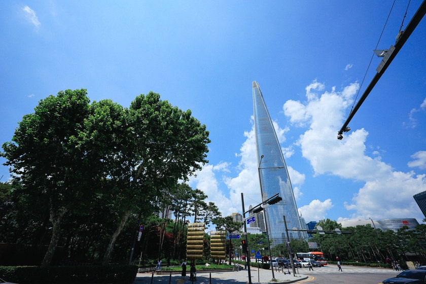 석촌湖樱花